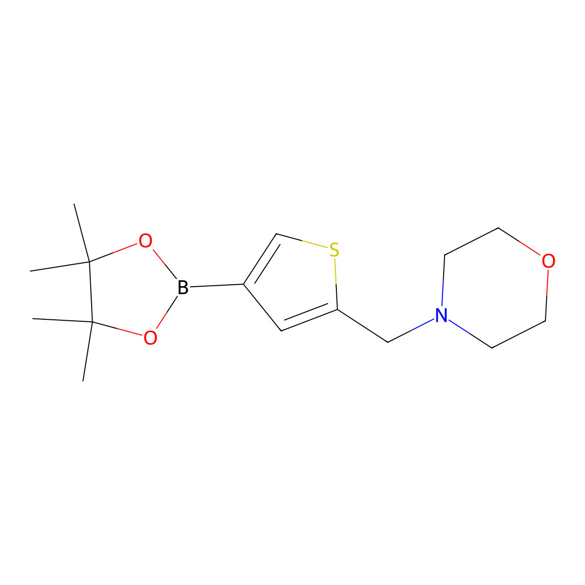 4-((4-(4,4,5,5-Tetramethyl-1,3,2-dioxaborolan-2-yl)thiophen-2-yl)methyl)morpholine molecular structure, CAS 364794-85-4