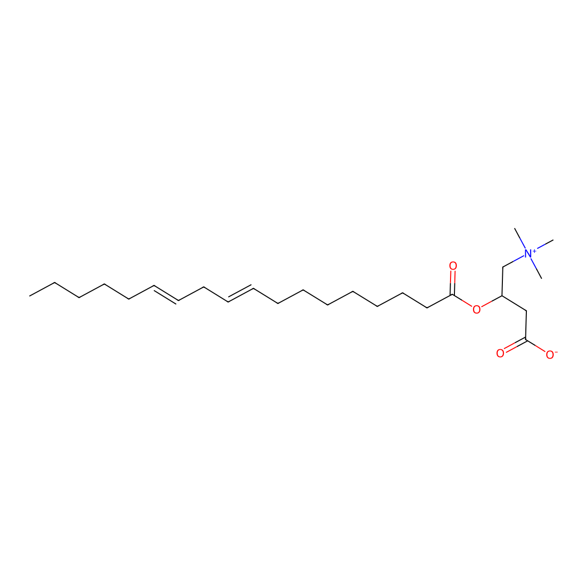 Linoleoylcarnitine molecular structure, CAS 36816-10-1
