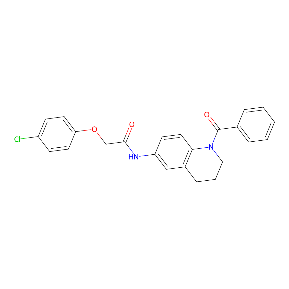N-(1-benzoyl-1,2,3,4-tetrahydroquinolin-6-yl)-2-(4-chlorophenoxy)acetamide molecular structure, CAS 371206-14-3