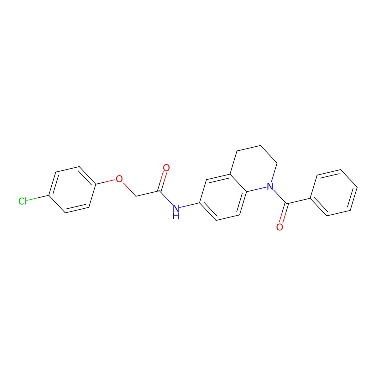 N-(1-benzoyl-1,2,3,4-tetrahydroquinolin-6-yl)-2-(4-chlorophenoxy)acetamide molecular structure, CAS 371206-14-3