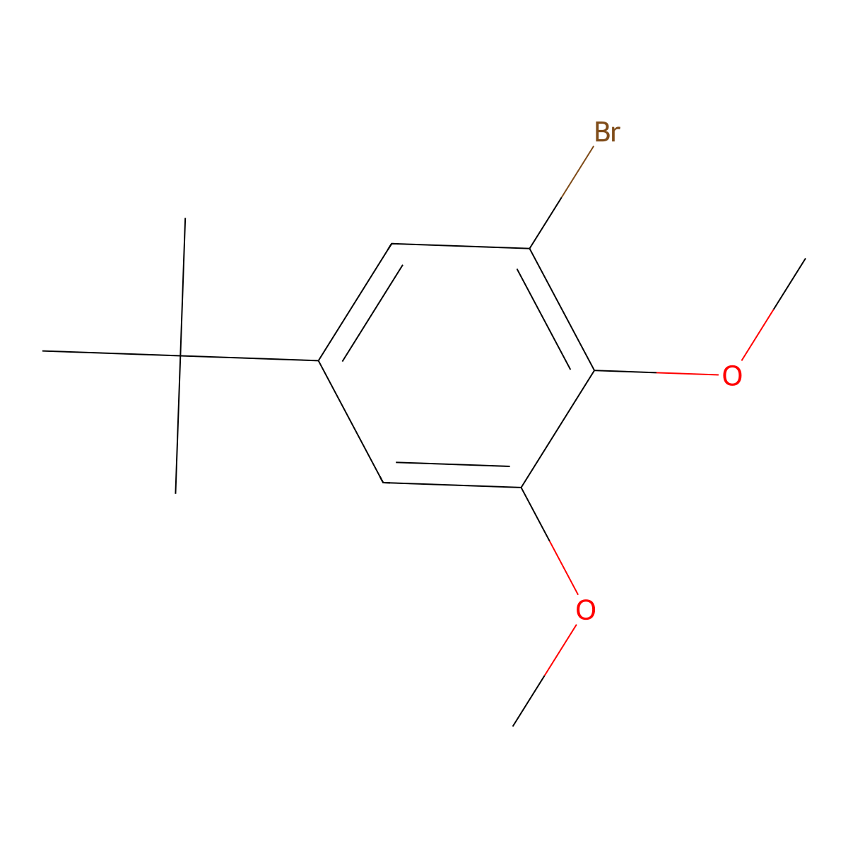 1-Bromo-5-tert-butyl-2,3-dimethoxybenzene molecular structure, CAS 372157-06-7