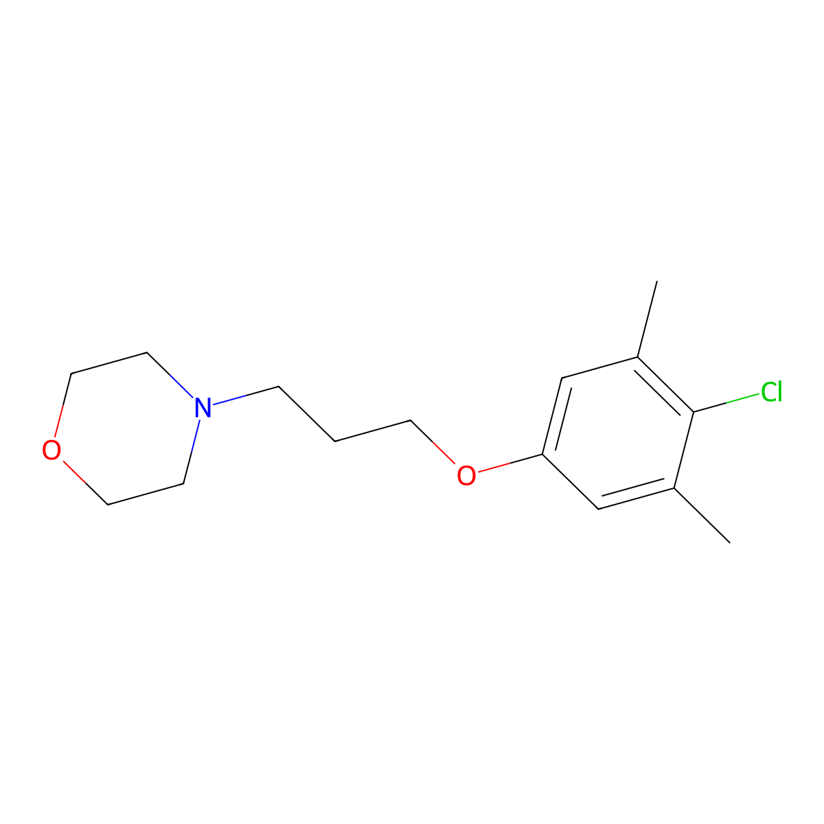 4-[3-(4-Chloro-3,5-dimethylphenoxy)propyl]morpholine molecular structure, CAS 372173-96-1