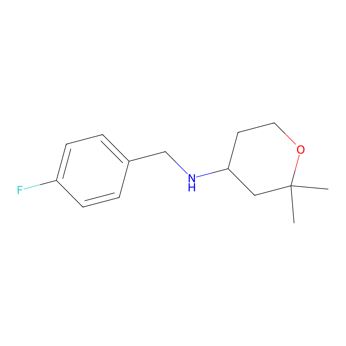 N-[(4-fluorophenyl)methyl]-2,2-dimethyloxan-4-amine molecular structure, CAS 374613-65-7