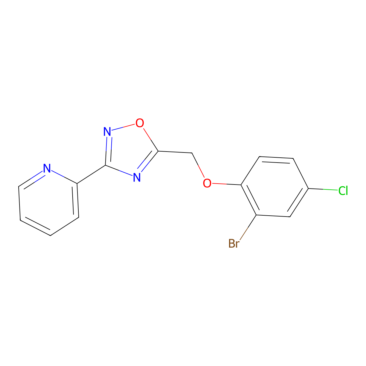 5-[(2-Bromo-4-chlorophenoxy)methyl]-3-pyridin-2-yl-1,2,4-oxadiazole molecular structure, CAS 378770-10-6