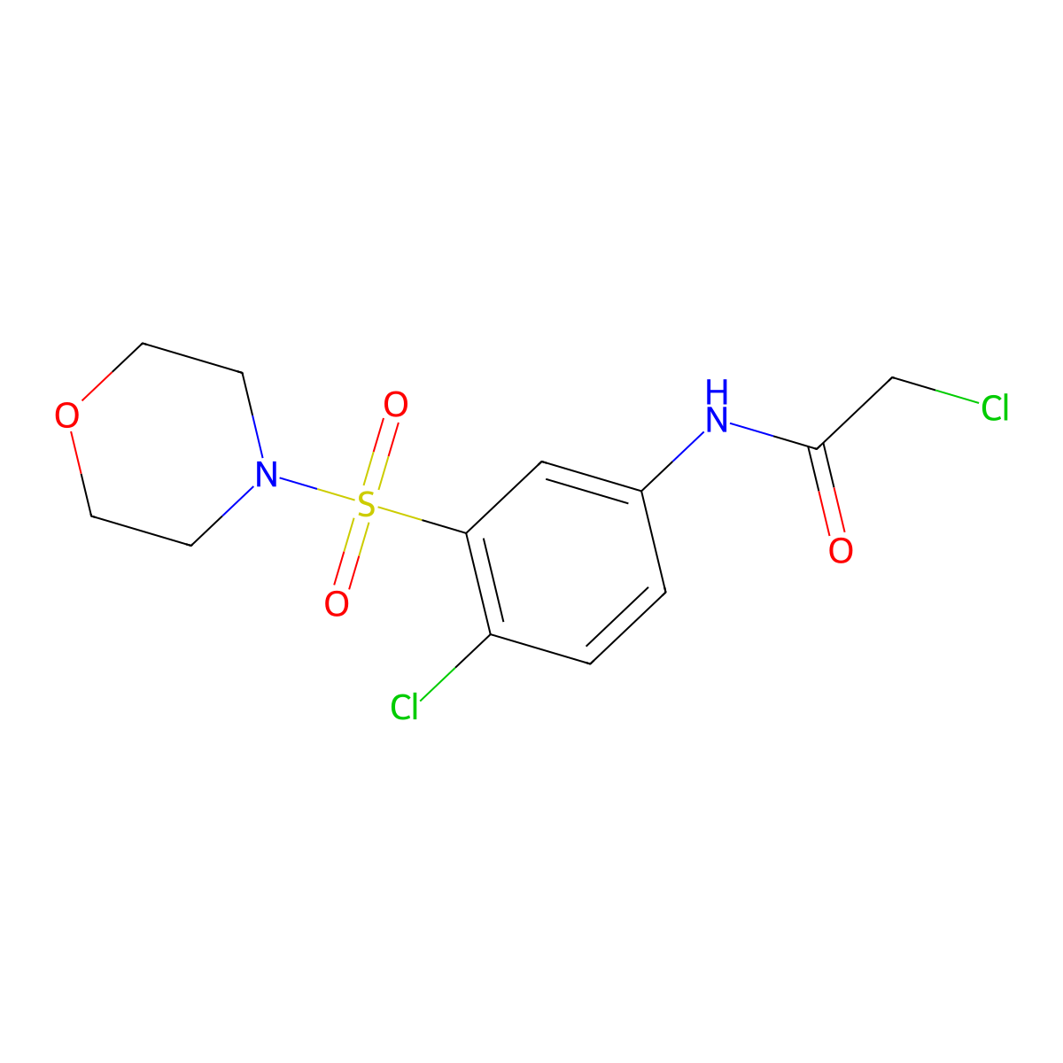 2-chloro-N-[4-chloro-3-(morpholine-4-sulfonyl)phenyl]acetamide molecular structure, CAS 379254-82-7