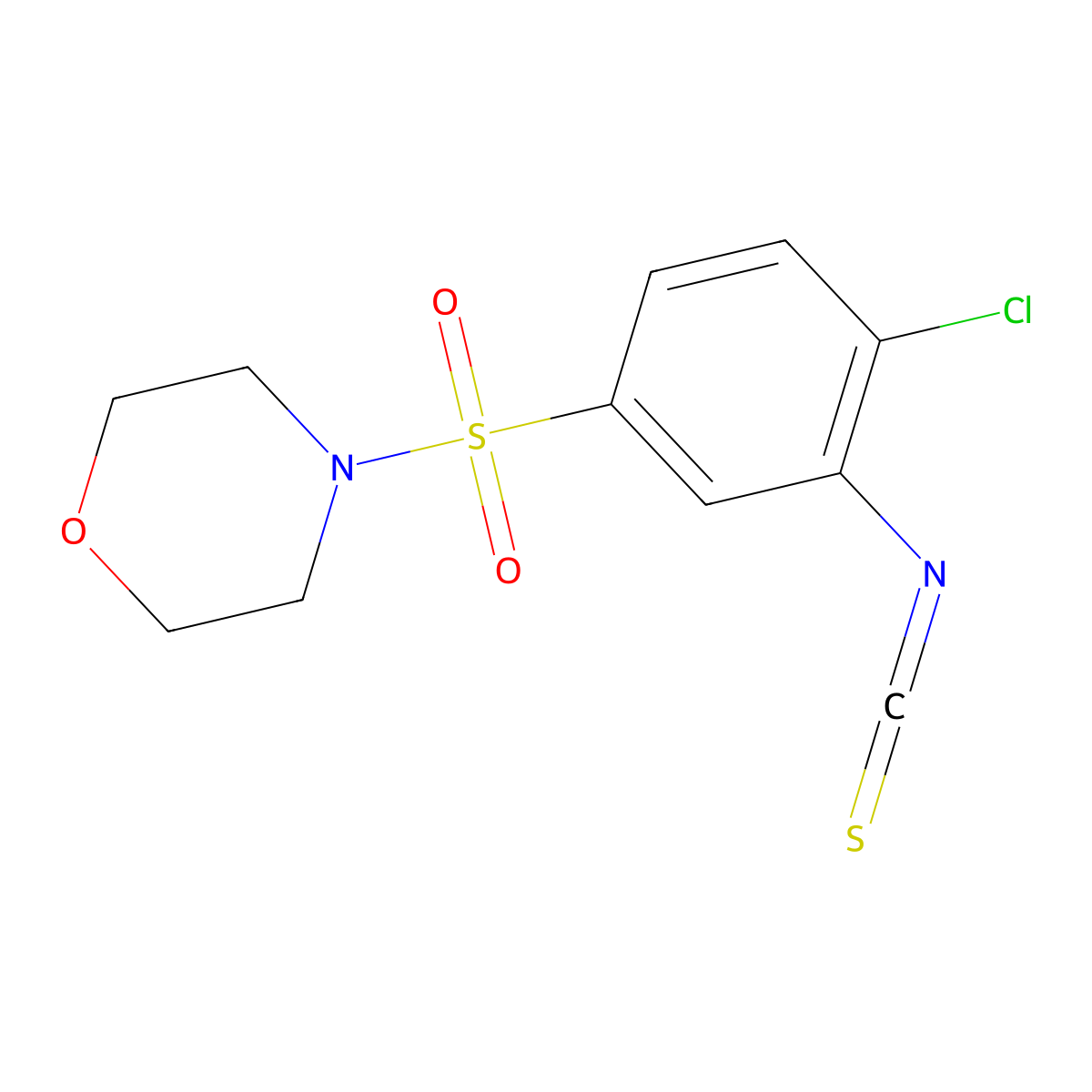 4-(4-Chloro-3-isothiocyanatobenzenesulfonyl)morpholine molecular structure, CAS 379255-04-6