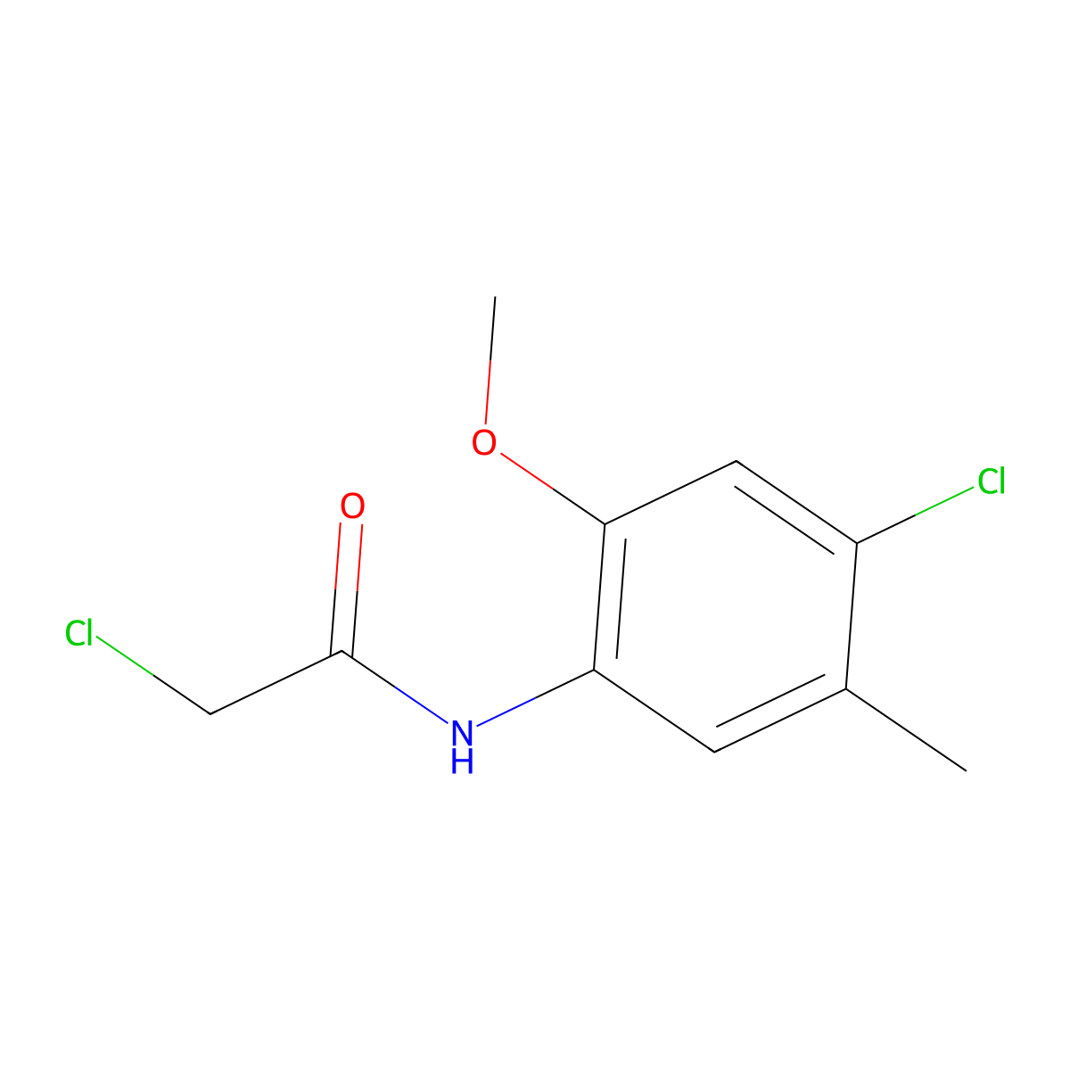 2-chloro-N-(4-chloro-2-methoxy-5-methylphenyl)acetamide molecular structure, CAS 379255-21-7