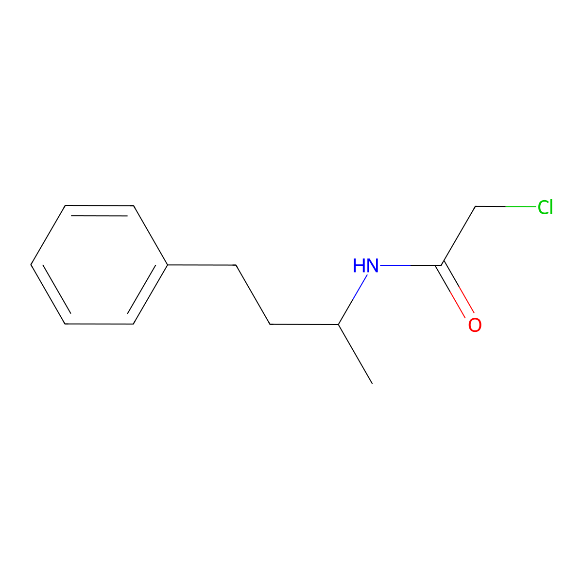 2-chloro-N-(4-phenylbutan-2-yl)acetamide molecular structure, CAS 379255-27-3