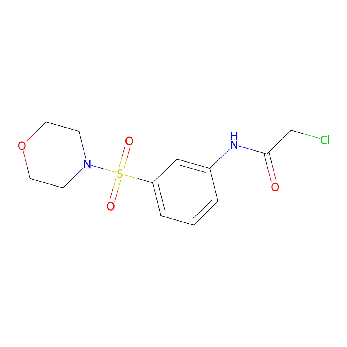 2-chloro-N-[3-(morpholine-4-sulfonyl)phenyl]acetamide molecular structure, CAS 379255-30-8