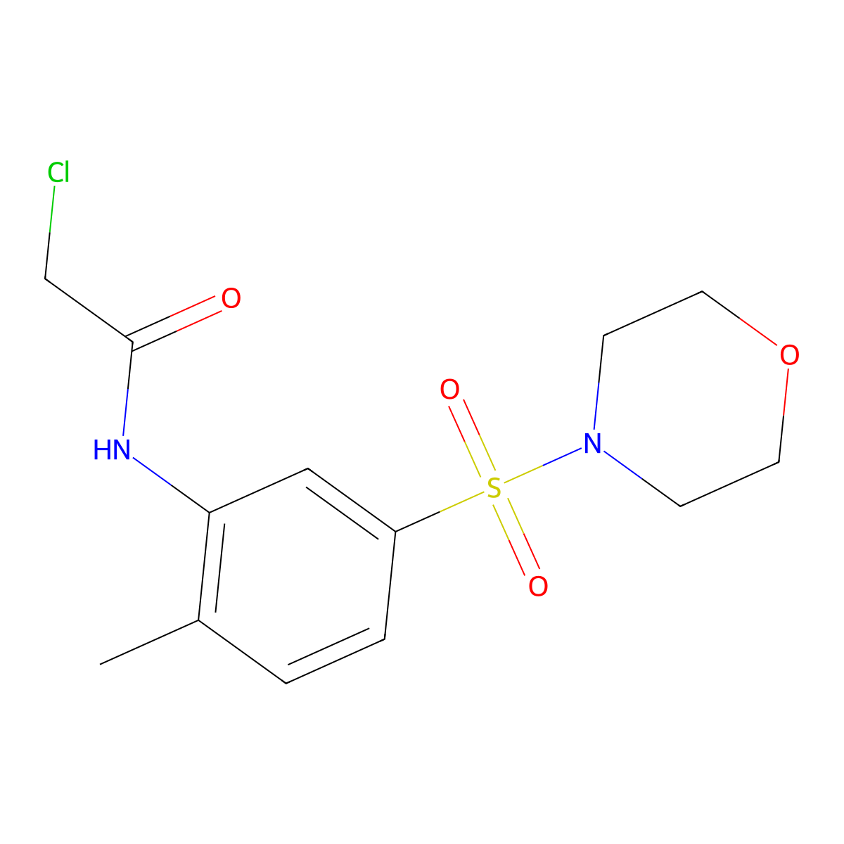 2-chloro-N-[2-methyl-5-(morpholine-4-sulfonyl)phenyl]acetamide molecular structure, CAS 379255-34-2