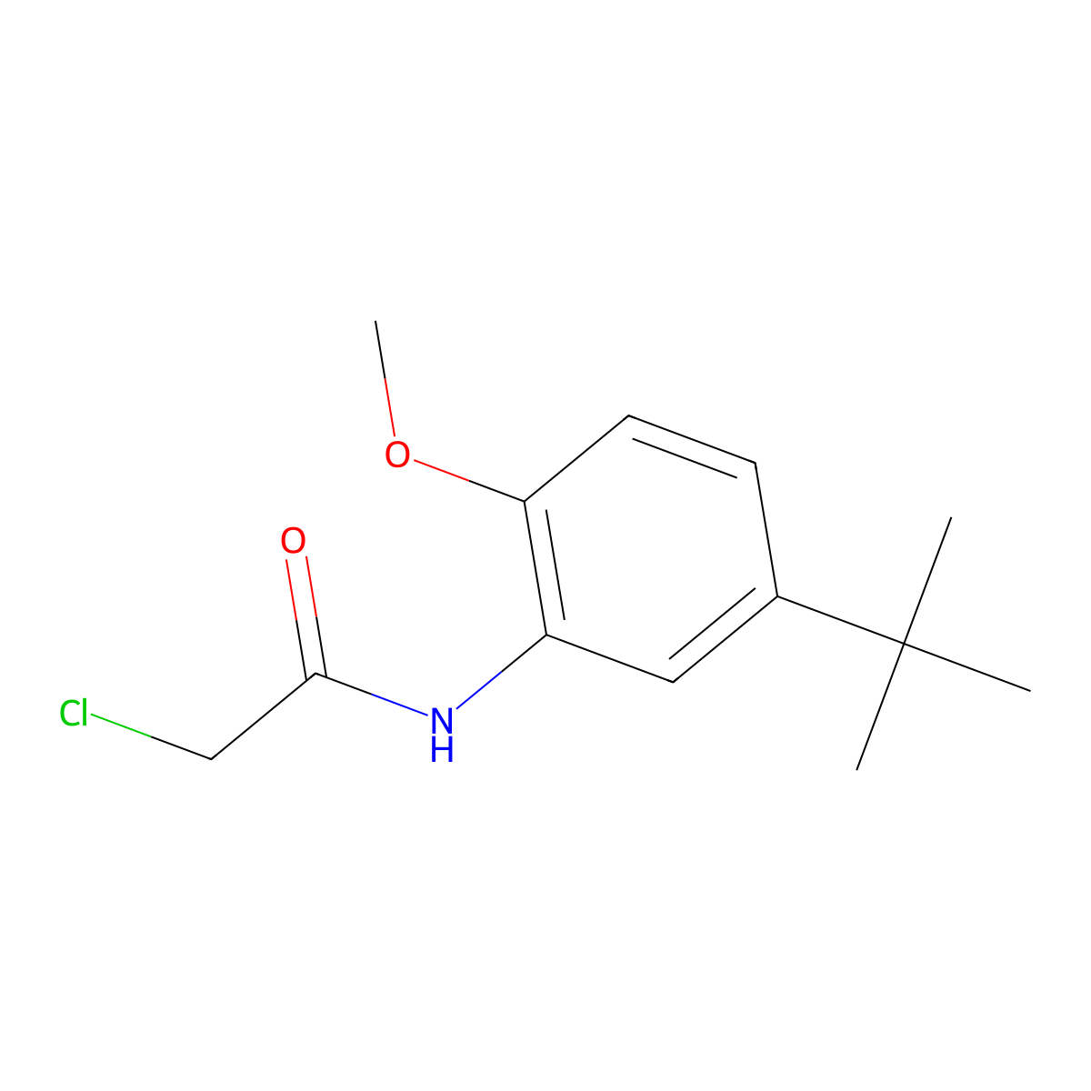 N-(5-tert-butyl-2-methoxyphenyl)-2-chloroacetamide molecular structure, CAS 379255-41-1