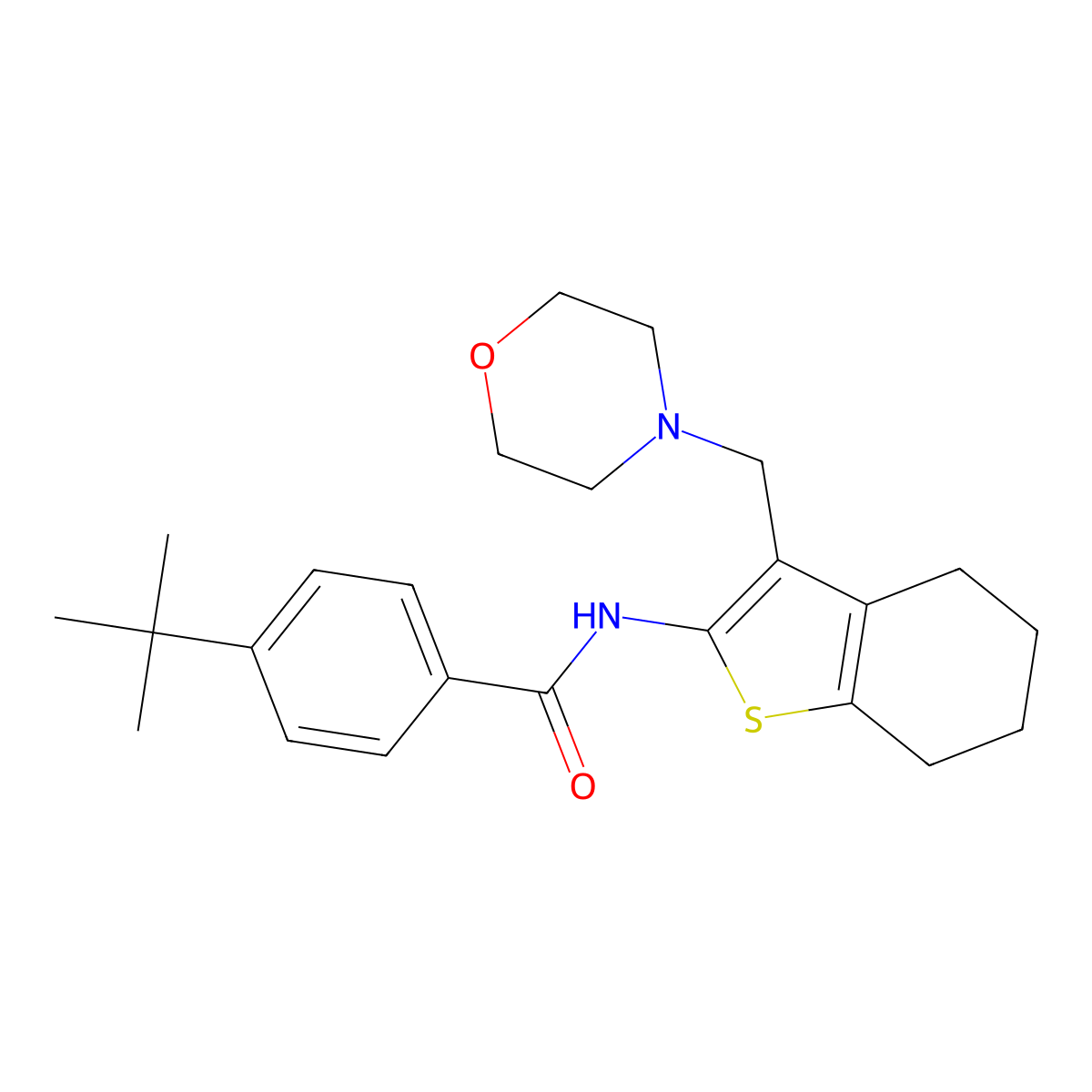 4-(tert-butyl)-N-(3-(morpholinomethyl)-4,5,6,7-tetrahydrobenzo[b]thiophen-2-yl)benzamide molecular structure, CAS 379256-21-0