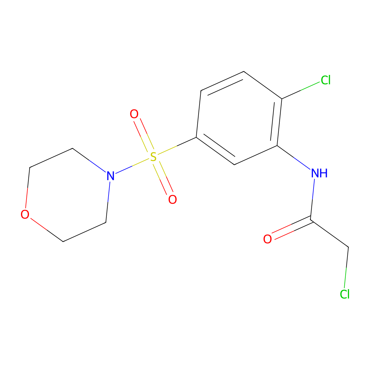 2-chloro-N-(2-chloro-5-(morpholine-4-sulfonyl)phenyl)acetamide molecular structure, CAS 379723-72-5