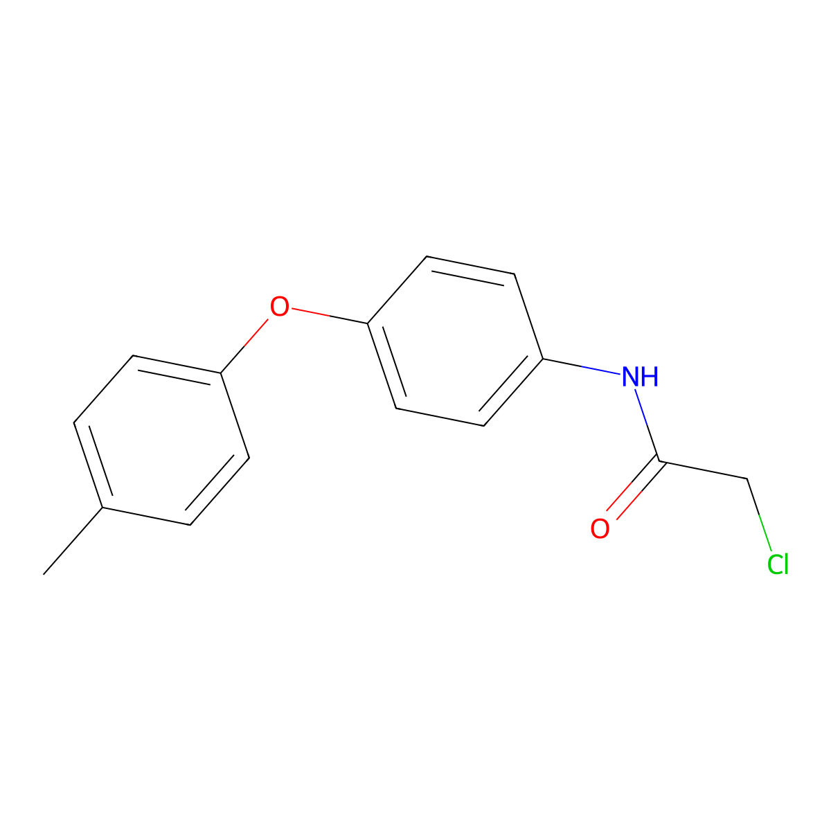 2-chloro-N-[4-(4-methylphenoxy)phenyl]acetamide molecular structure, CAS 38008-32-1