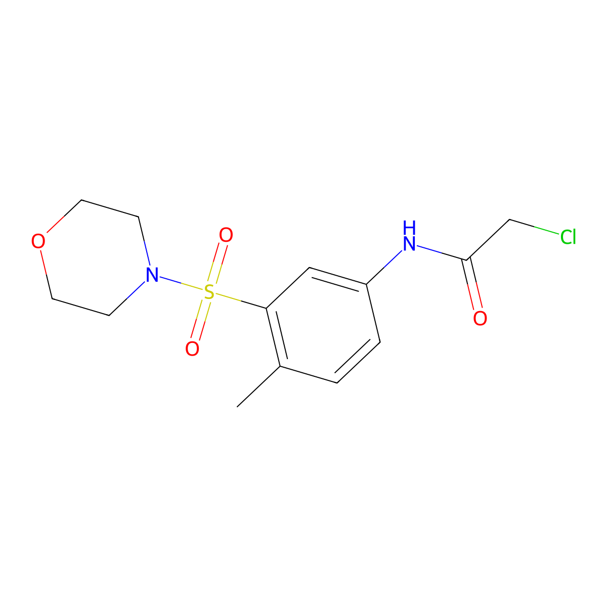 2-chloro-N-[4-methyl-3-(morpholine-4-sulfonyl)phenyl]acetamide molecular structure, CAS 380432-17-7
