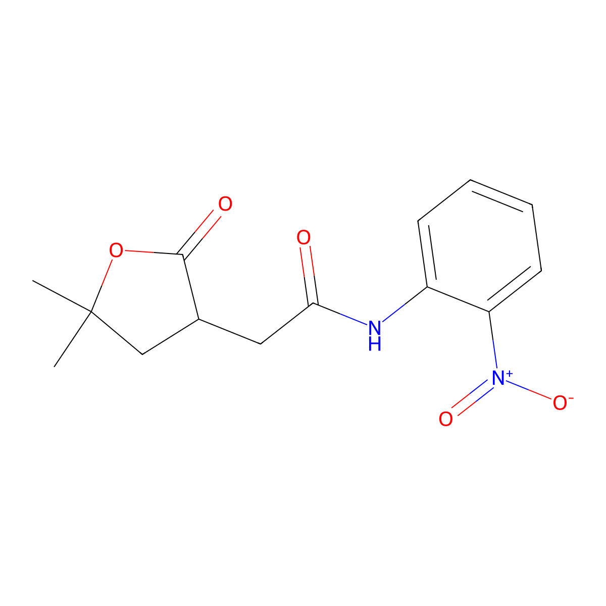 2-(5,5-dimethyl-2-oxooxolan-3-yl)-N-(2-nitrophenyl)acetamide molecular structure, CAS 380567-19-1