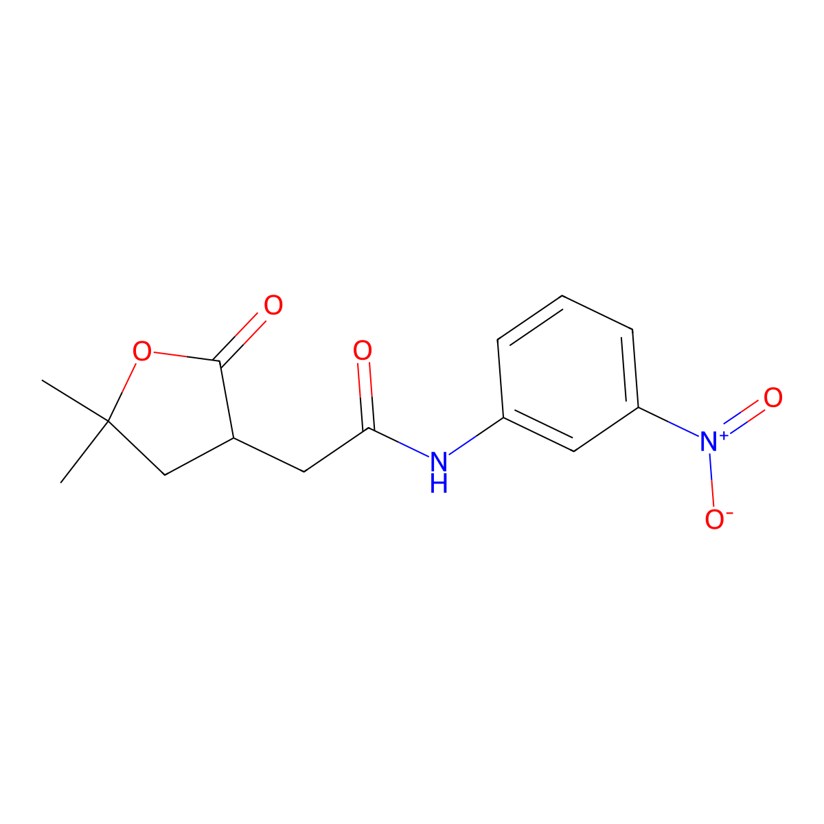 2-(5,5-dimethyl-2-oxooxolan-3-yl)-N-(3-nitrophenyl)acetamide molecular structure, CAS 380592-11-0