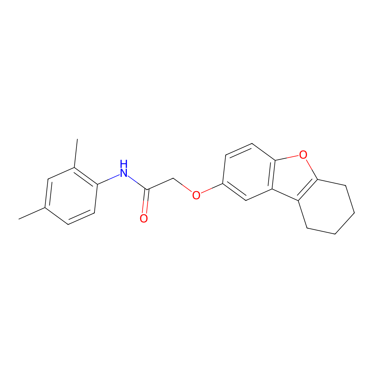 N-(2,4-dimethylphenyl)-2-(6,7,8,9-tetrahydrodibenzofuran-2-yloxy)acetamide molecular structure, CAS 380645-97-6