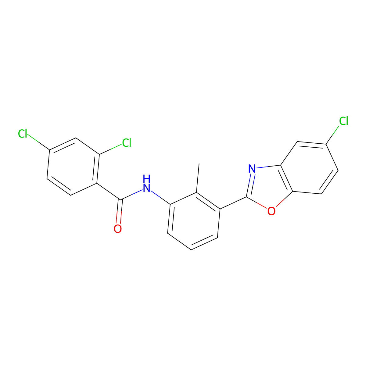 2,4-dichloro-N-[3-(5-chloro-1,3-benzoxazol-2-yl)-2-methylphenyl]benzamide molecular structure, CAS 381169-05-7