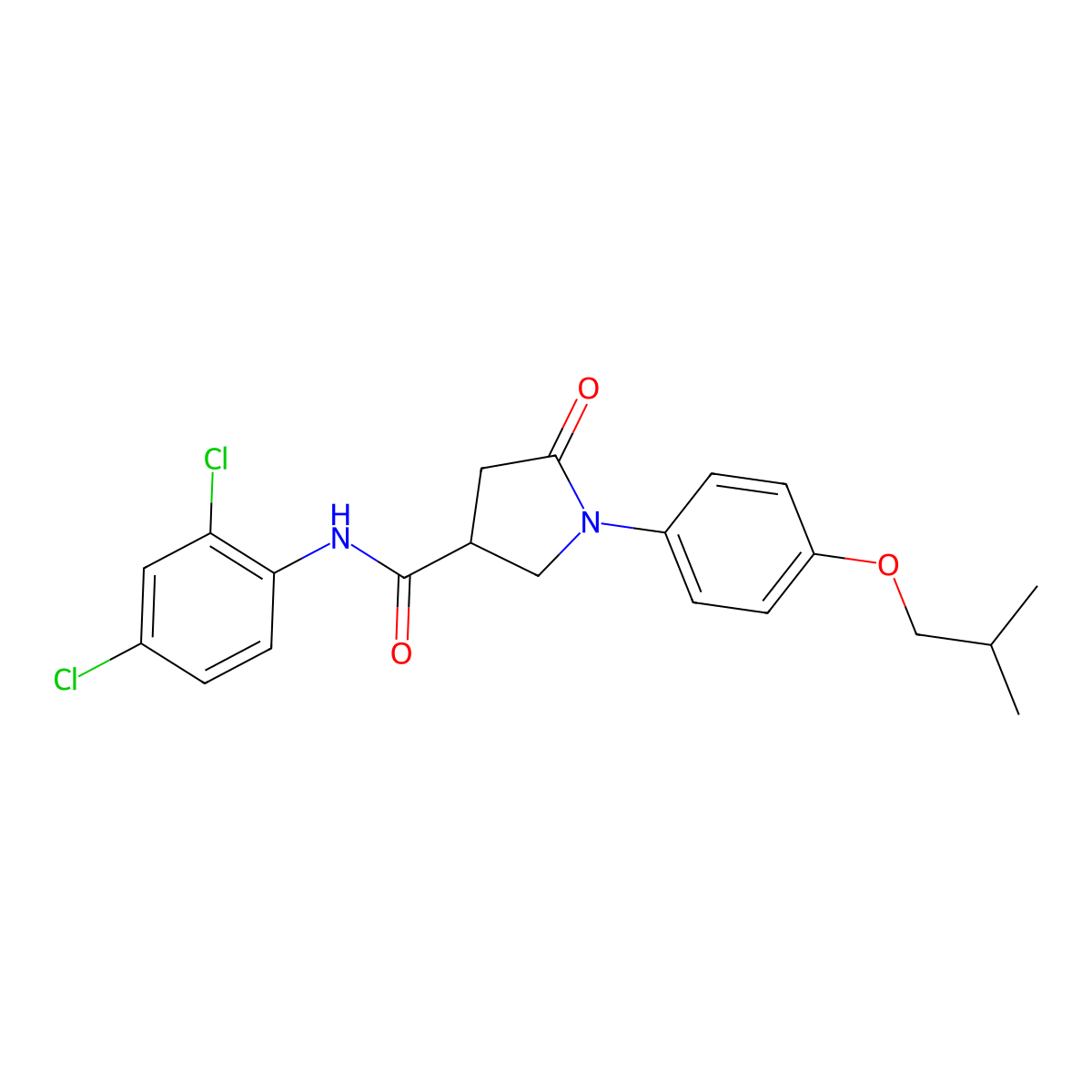 N-(2,4-dichlorophenyl)-1-[4-(2-methylpropoxy)phenyl]-5-oxopyrrolidine-3-carboxamide molecular structure, CAS 381241-87-8