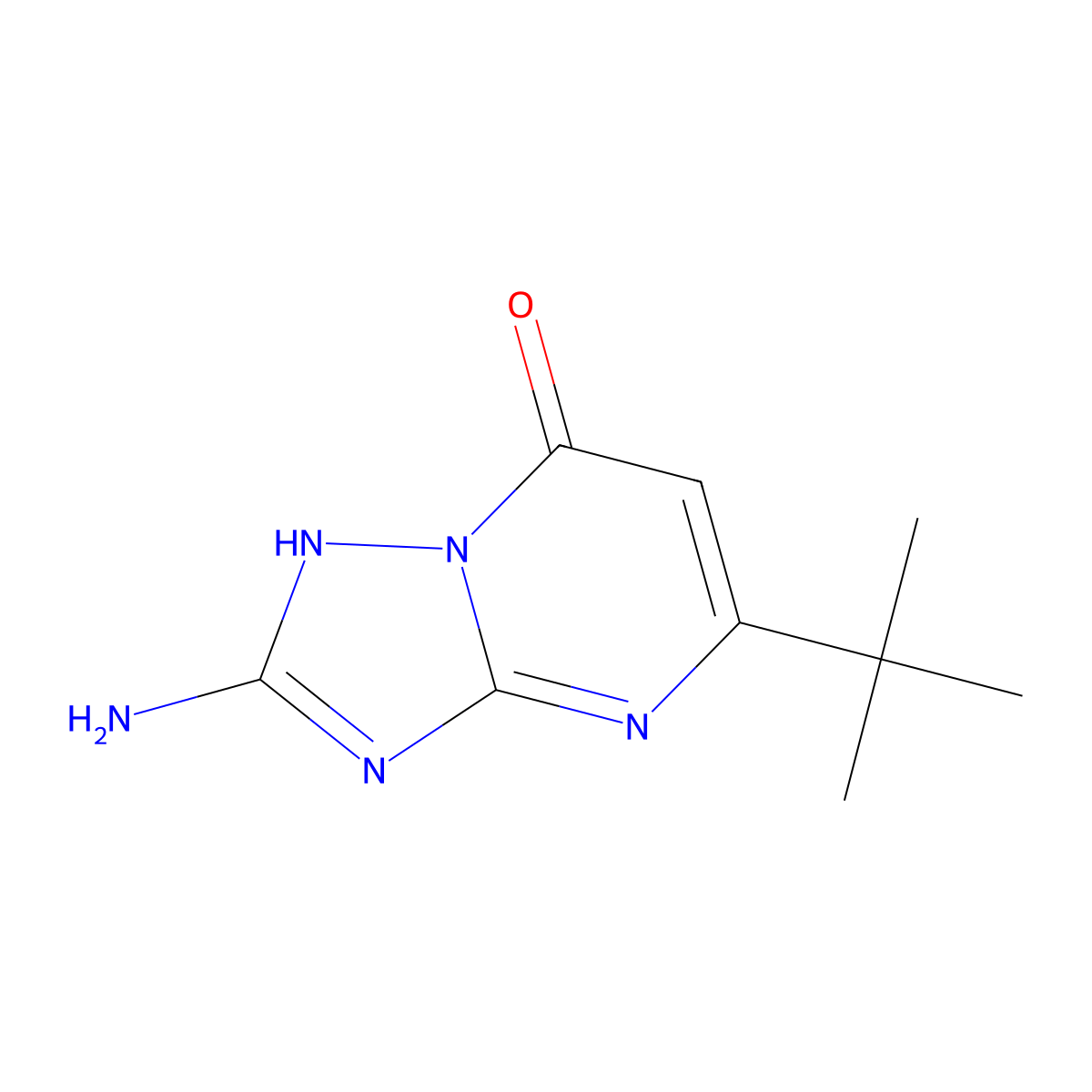 2-amino-5-tert-butyl[1,2,4]triazolo[1,5-a]pyrimidin-7(4H)-one molecular structure, CAS 385377-55-9