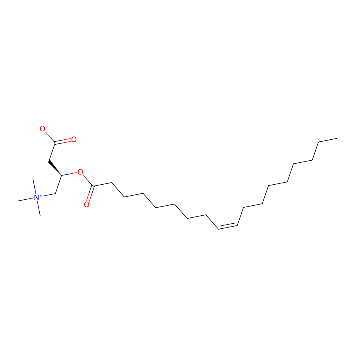 Oleoyllevocarnitine molecular structure, CAS 38677-66-6