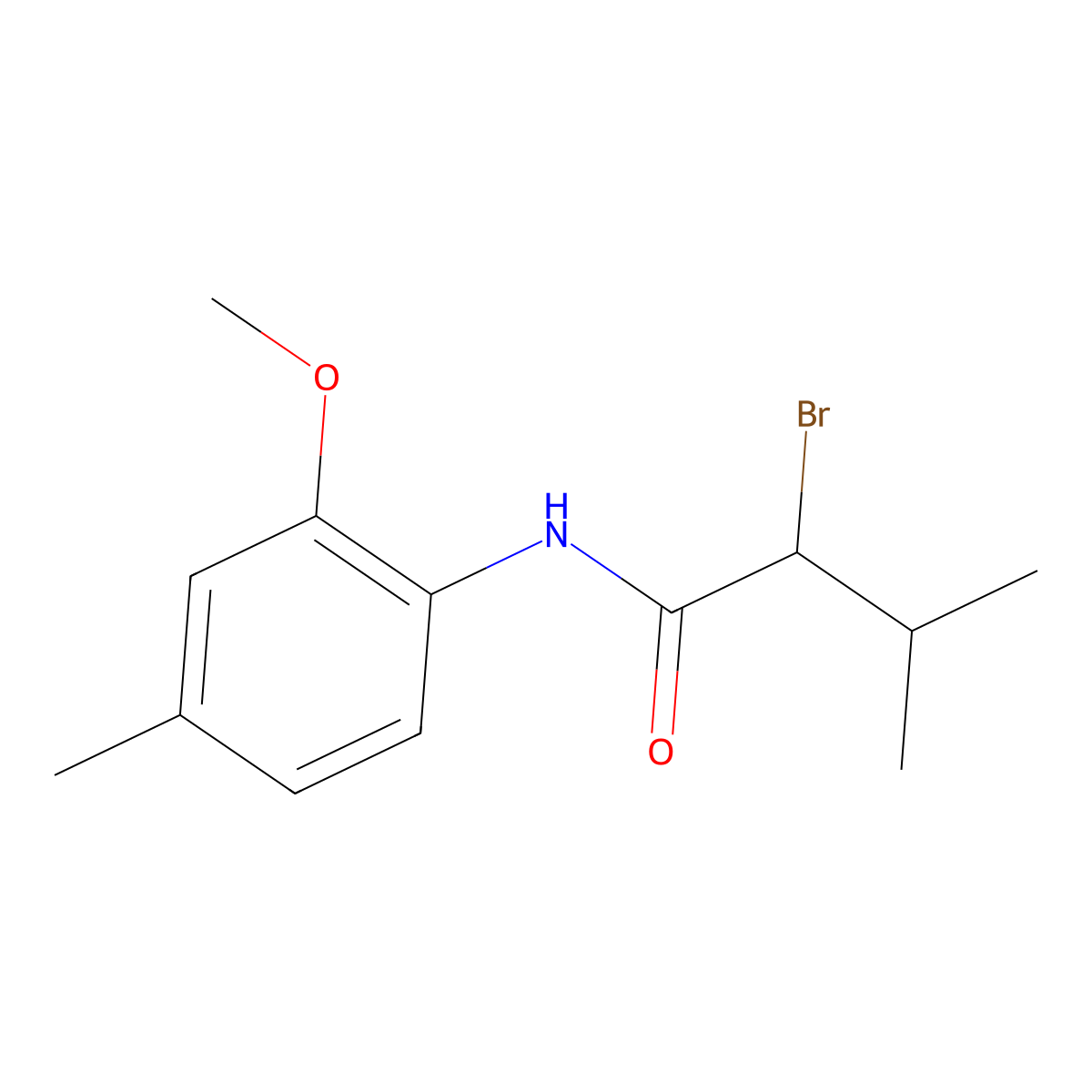2-bromo-N-(2-methoxy-4-methylphenyl)-3-methylbutanamide molecular structure, CAS 391220-28-3