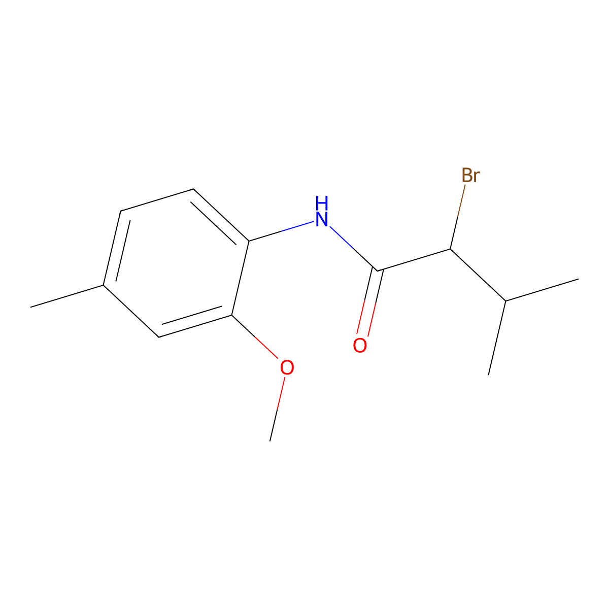 2-bromo-N-(2-methoxy-4-methylphenyl)-3-methylbutanamide molecular structure, CAS 391220-28-3