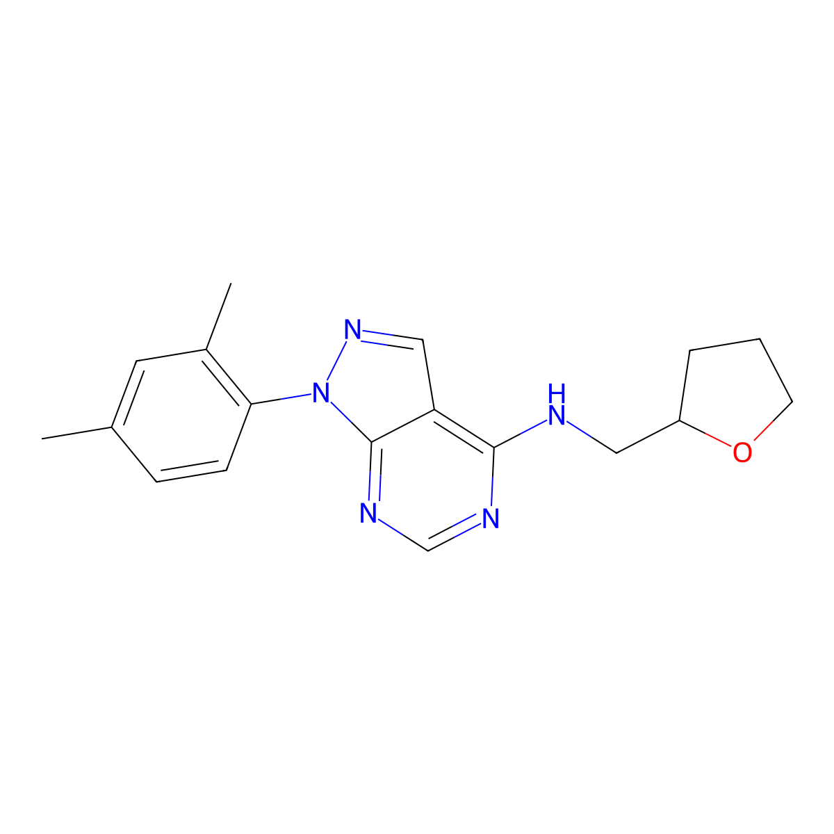 1-(2,4-dimethylphenyl)-N-(oxolan-2-ylmethyl)pyrazolo[3,4-d]pyrimidin-4-amine molecular structure, CAS 393784-57-1
