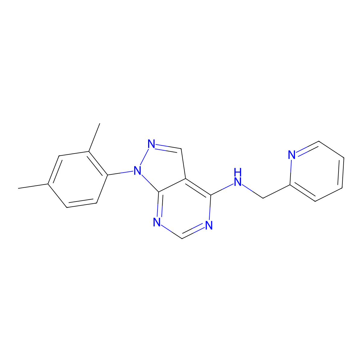 1-(2,4-dimethylphenyl)-N-(pyridin-2-ylmethyl)-1H-pyrazolo[3,4-d]pyrimidin-4-amine molecular structure, CAS 393822-77-0