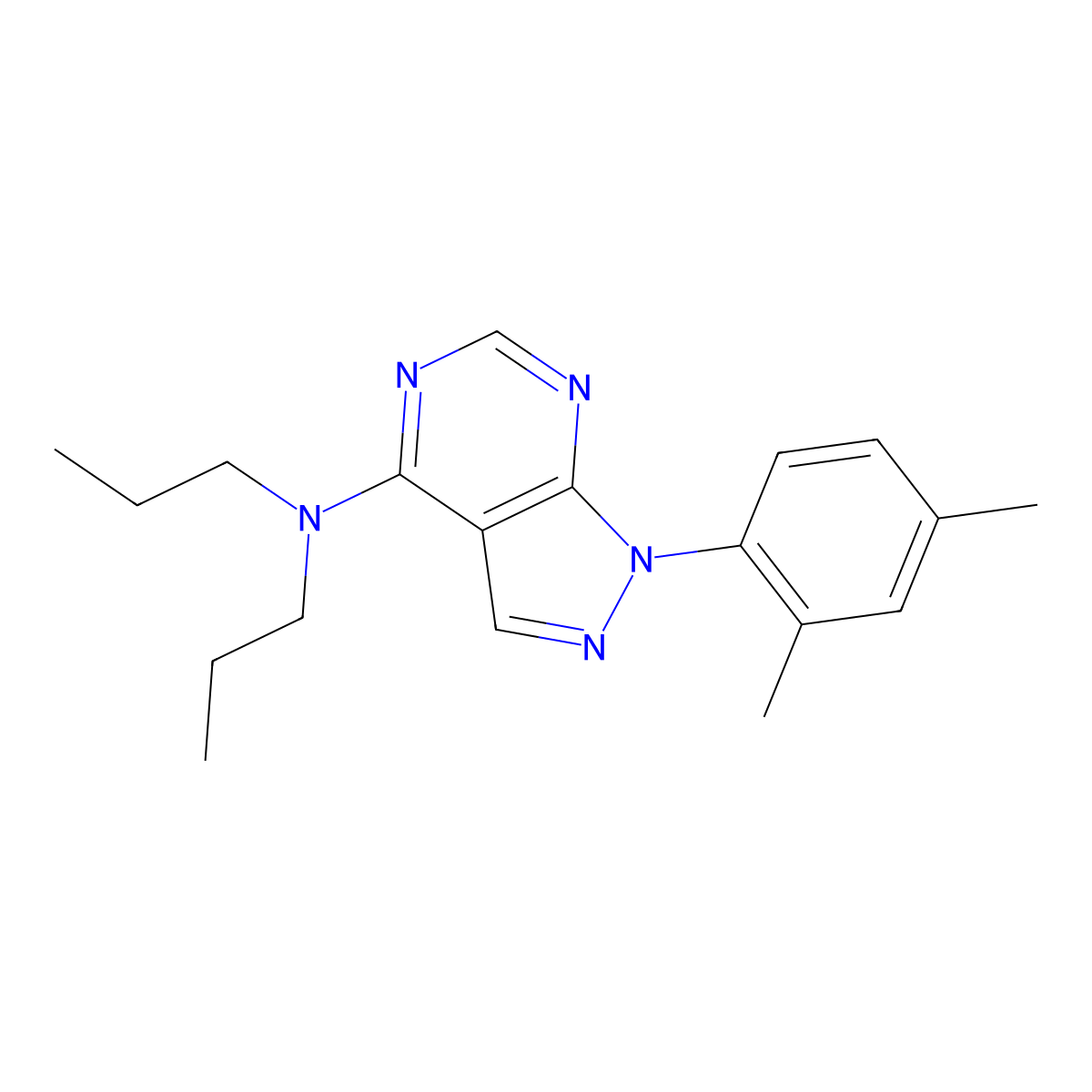 1-(2,4-dimethylphenyl)-N,N-dipropyl-1H-pyrazolo[3,4-d]pyrimidin-4-amine molecular structure, CAS 393844-61-6