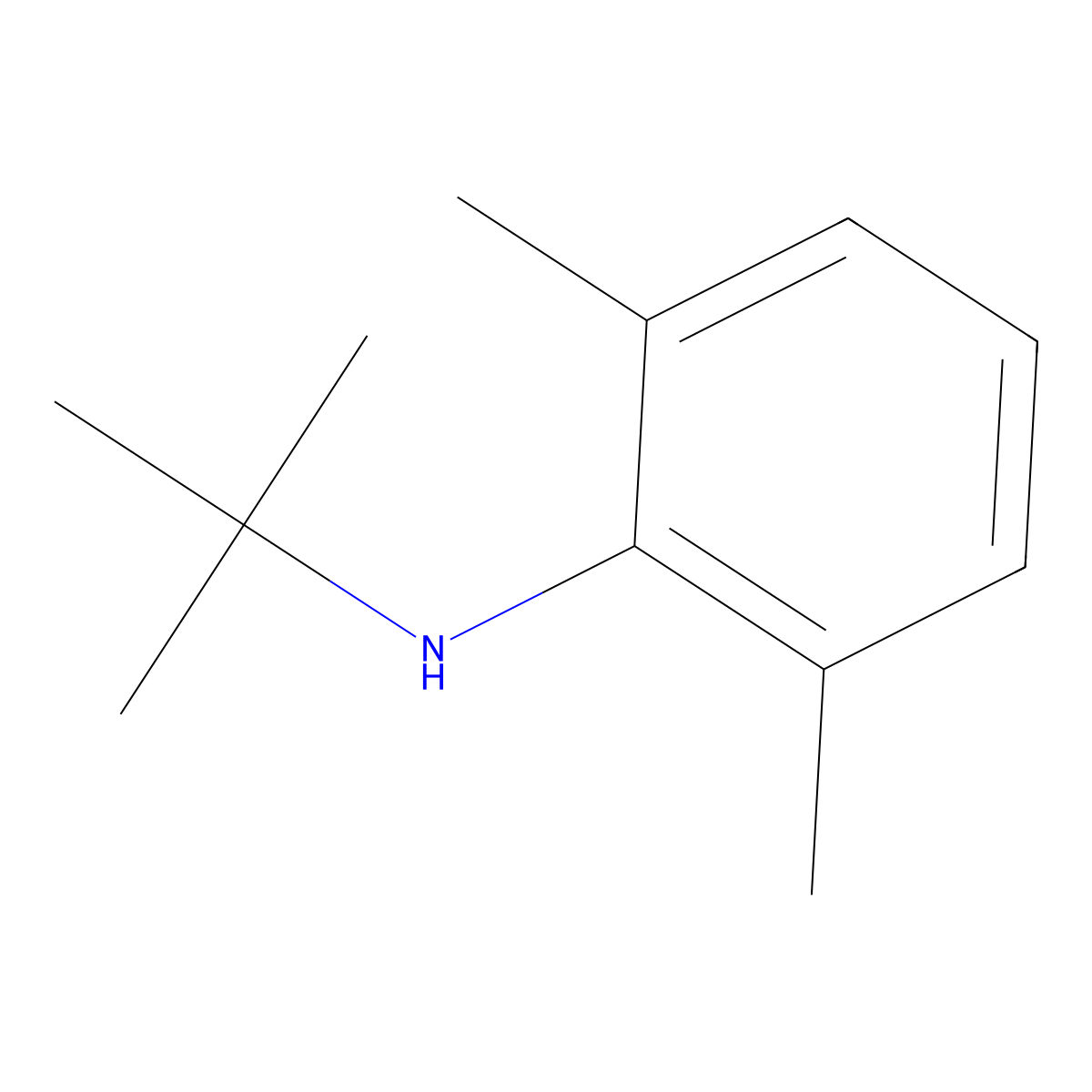 N-(tert-butyl)-N-(2,6-dimethylphenyl)amine molecular structure, CAS 395116-77-5