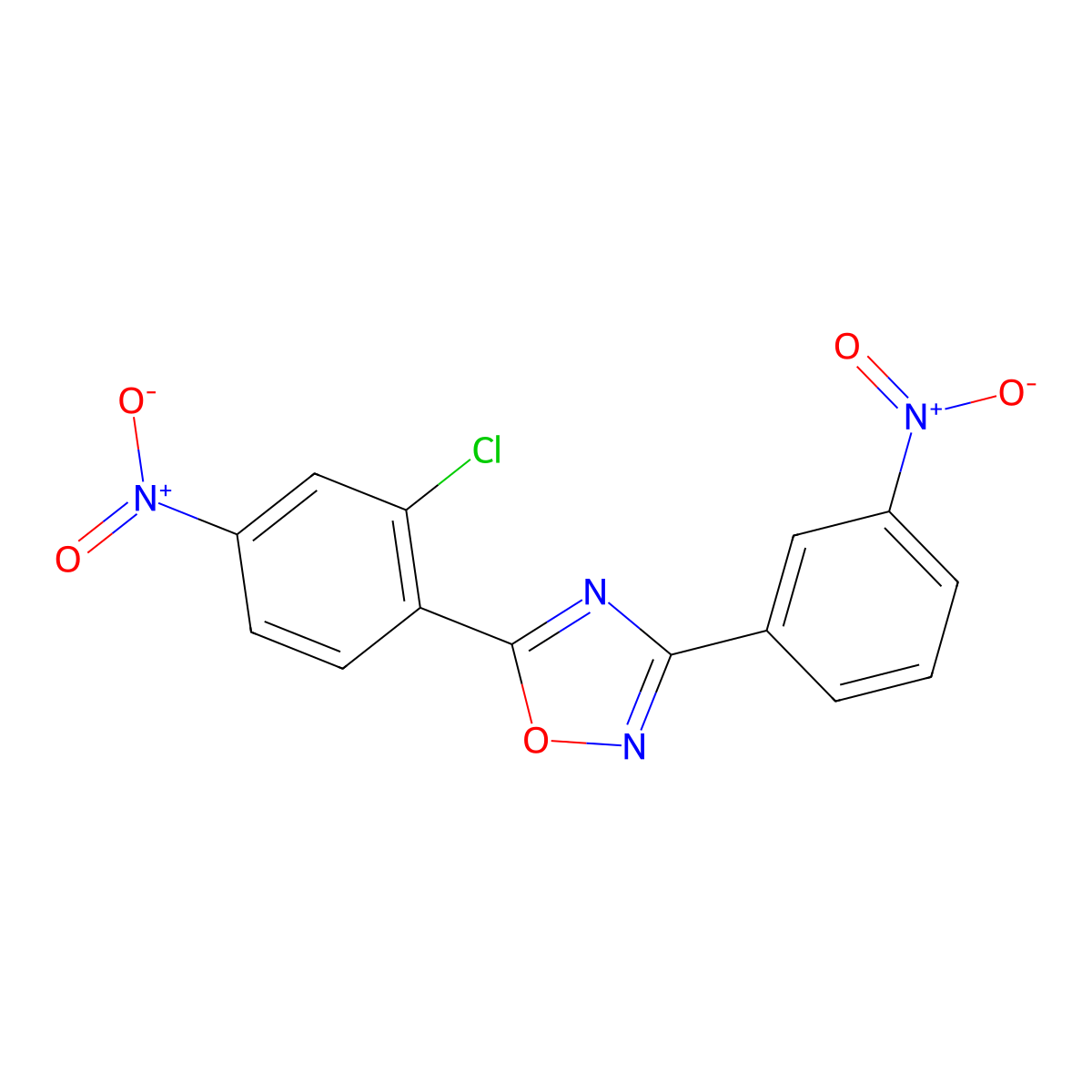 5-(2-Chloro-4-nitrophenyl)-3-(3-nitrophenyl)-1,2,4-oxadiazole molecular structure, CAS 401580-28-7