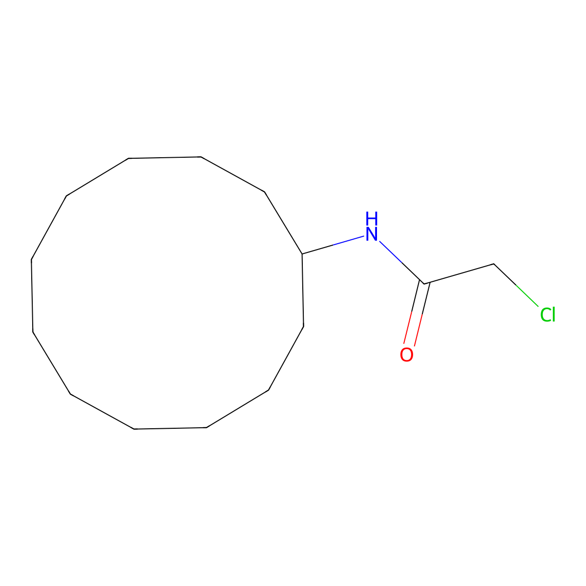 2-chloro-N-cyclododecylacetamide molecular structure, CAS 401640-81-1