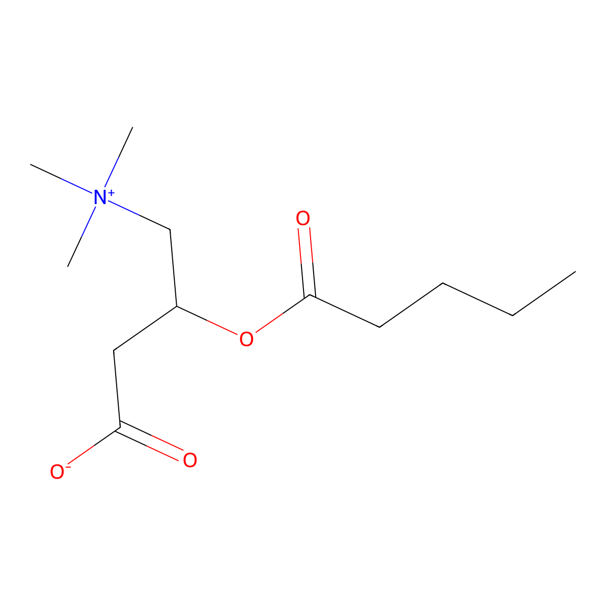 Valeryl L-carnitine molecular structure, CAS 40225-14-7