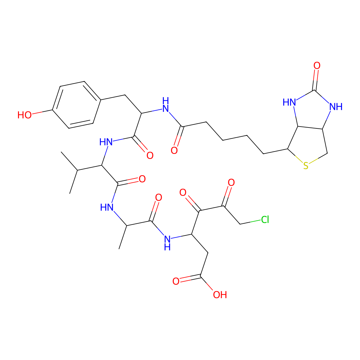 6-Chloro-3-[2-[[2-[[3-(4-hydroxyphenyl)-2-[5-(2-oxo-1,3,3a,4,6,6a-hexahydrothieno[3,4-d]imidazol-4-yl)pentanoylamino]propanoyl]amino]-3-methylbutanoyl]amino]propanoylamino]-4,5-dioxohexanoic acid molecular structure, CAS 402474-75-3