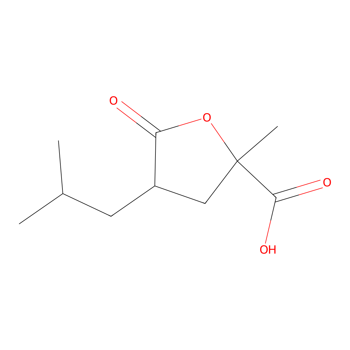 2-Methyl-4-(2-methylpropyl)-5-oxooxolane-2-carboxylic acid molecular structure, CAS 40344-07-8