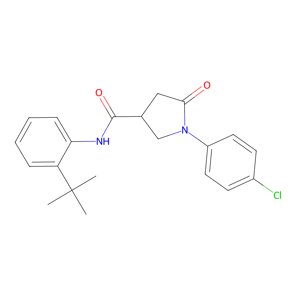N-(2-tert-butylphenyl)-1-(4-chlorophenyl)-5-oxopyrrolidine-3-carboxamide molecular structure, CAS 404023-86-5