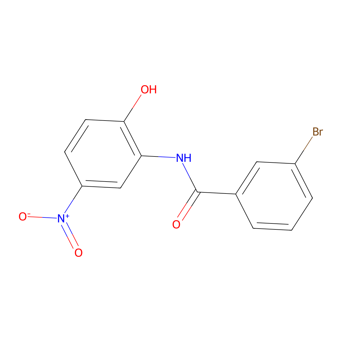 3-bromo-N-(2-hydroxy-5-nitrophenyl)benzamide molecular structure, CAS 404583-80-8