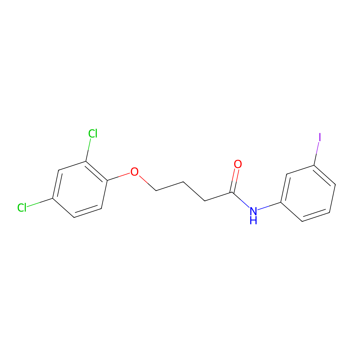4-(2,4-dichlorophenoxy)-N-(3-iodophenyl)butanamide molecular structure, CAS 404584-07-2