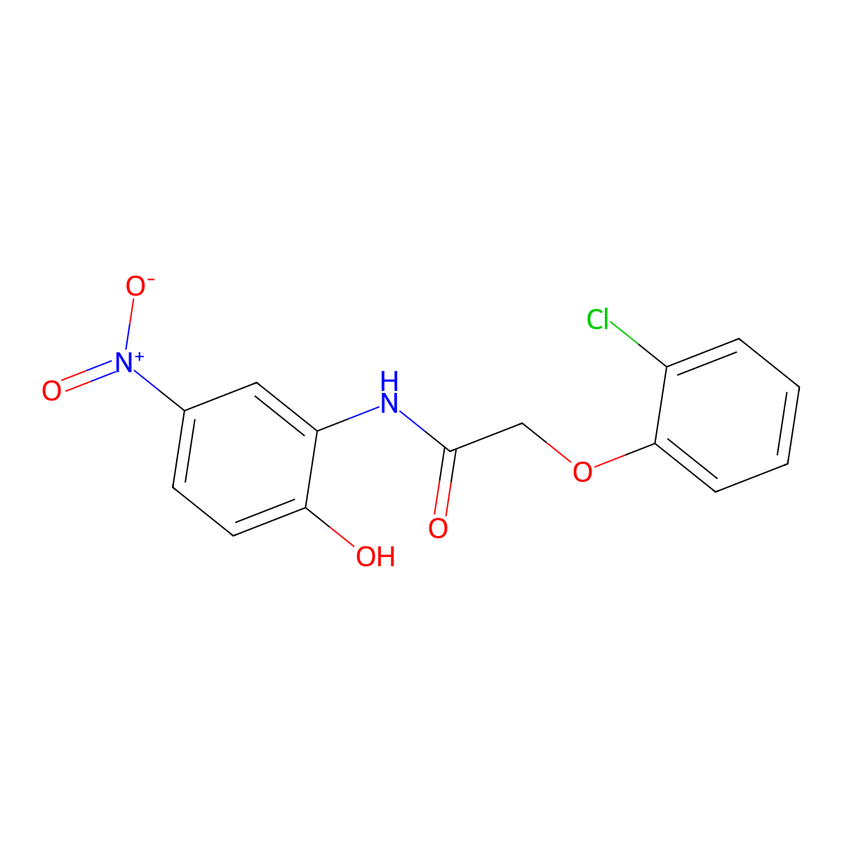 2-(2-chlorophenoxy)-N-(2-hydroxy-5-nitrophenyl)acetamide molecular structure, CAS 404586-15-8