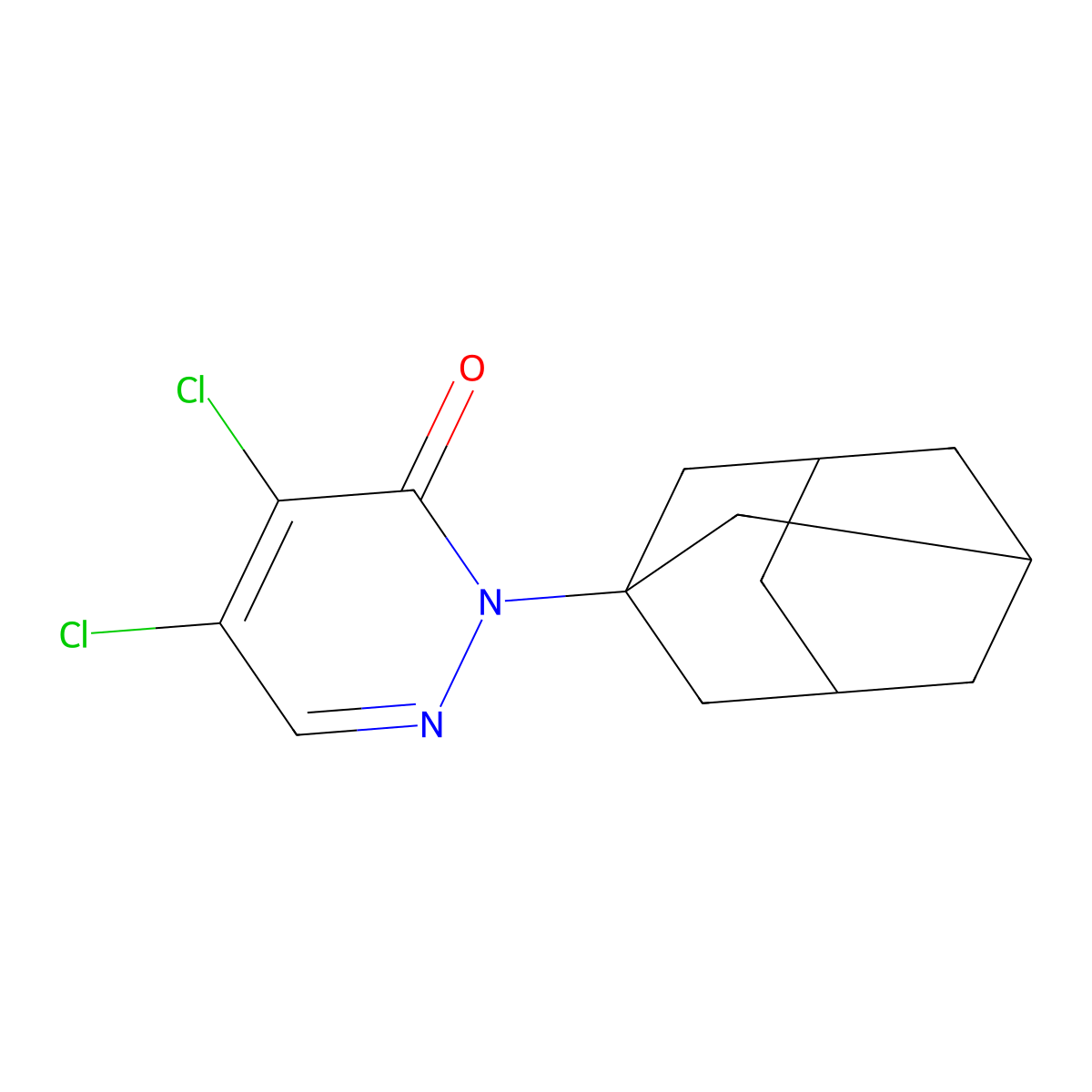 Pyridazin-3(2H)-one, 4,5-dichloro-2-(1-adamantyl)- molecular structure, CAS 405277-80-7