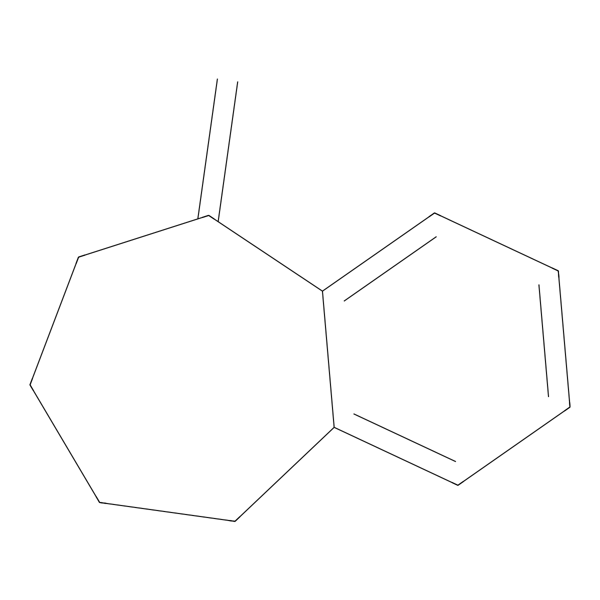 5-Methylene-6,7,8,9-tetrahydro-5H-benzo[7]annulene molecular structure, CAS 40562-09-2