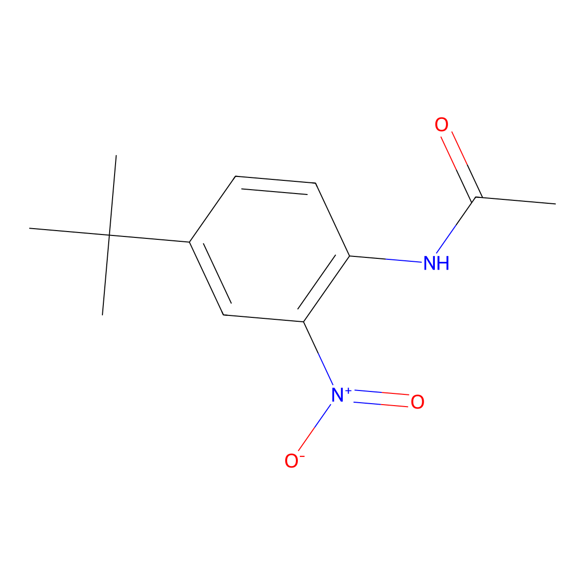 N-[4-(1,1-dimethylethyl)-2-nitrophenyl]acetamide molecular structure, CAS 40655-37-6