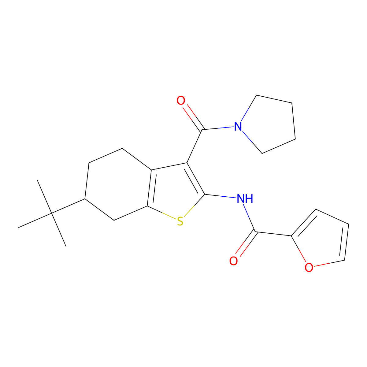 N-[6-tert-butyl-3-(pyrrolidine-1-carbonyl)-4,5,6,7-tetrahydro-1-benzothiophen-2-yl]furan-2-carboxamide molecular structure, CAS 407585-01-7