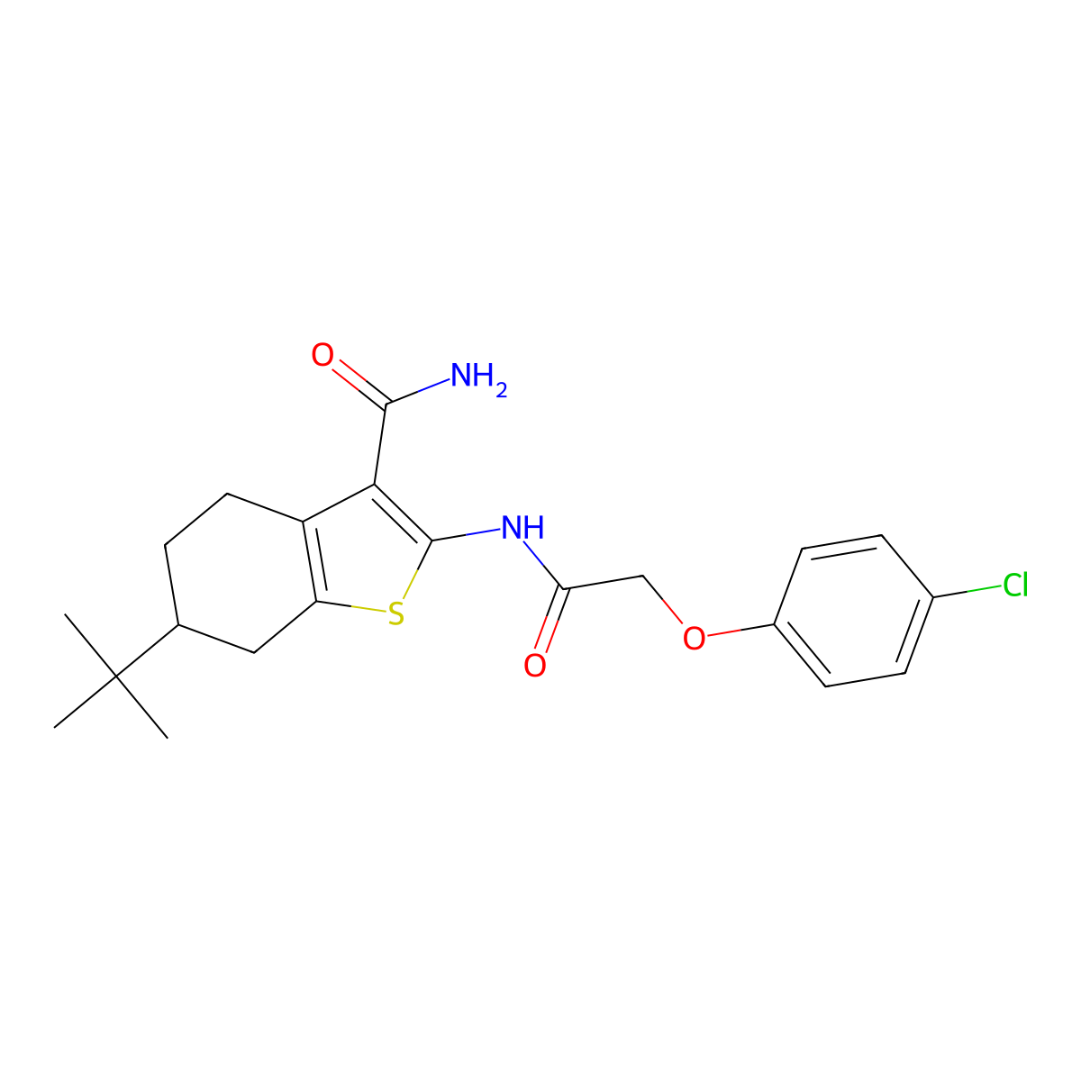 6-Tert-butyl-2-[[2-(4-chlorophenoxy)acetyl]amino]-4,5,6,7-tetrahydro-1-benzothiophene-3-carboxamide molecular structure, CAS 407587-24-0