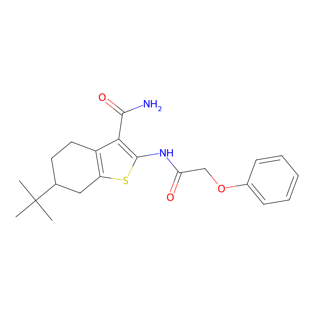 6-Tert-butyl-2-[(2-phenoxyacetyl)amino]-4,5,6,7-tetrahydro-1-benzothiophene-3-carboxamide molecular structure, CAS 407587-26-2