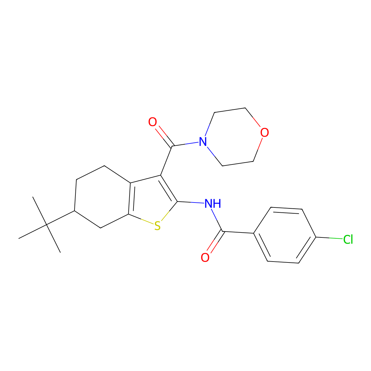 N-[6-tert-butyl-3-(morpholine-4-carbonyl)-4,5,6,7-tetrahydro-1-benzothiophen-2-yl]-4-chlorobenzamide molecular structure, CAS 407587-47-7
