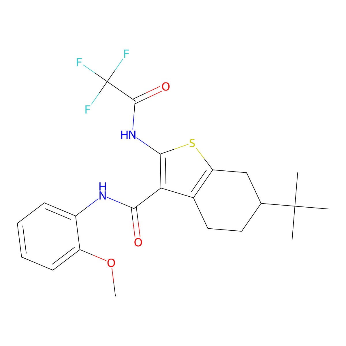 6-tert-butyl-N-(2-methoxyphenyl)-2-[(2,2,2-trifluoroacetyl)amino]-4,5,6,7-tetrahydro-1-benzothiophene-3-carboxamide molecular structure, CAS 407589-63-3