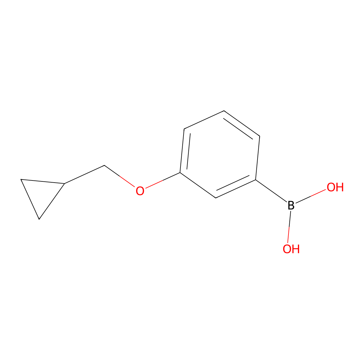 3-(Cyclopropylmethoxy)phenylboronic acid molecular structure, CAS 411229-76-0